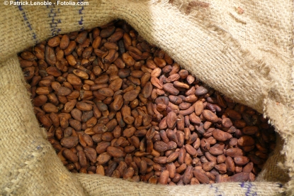 Extention des interdictions liées au fenugrec egyptien à d’autres graines et fèves