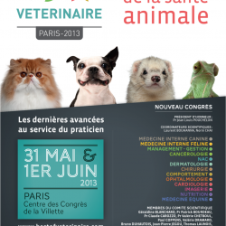 Best of vétérinaire