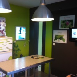 vends clientèle canine 13