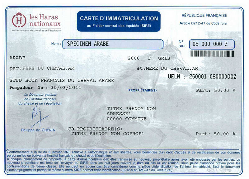 Europe. Identification des chevaux : des règles durcies en 2016