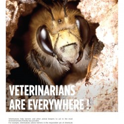 FVE-veterinaire-apiculture