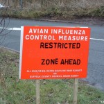 influenza aviaire H5N1