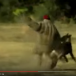 braconnage-chien-bbc