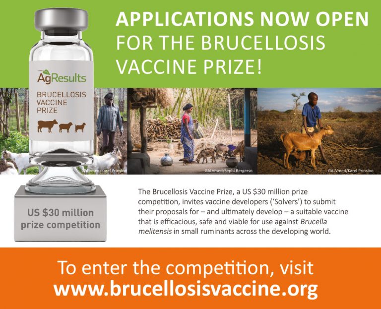 Le GALVmed lance un concours doté de 30 millions de dollars pour développer un vaccin contre la brucellose, une zoonose qui continue de progresser.