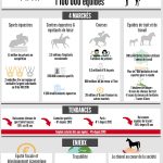 IFCE infographie filiere equine 2017