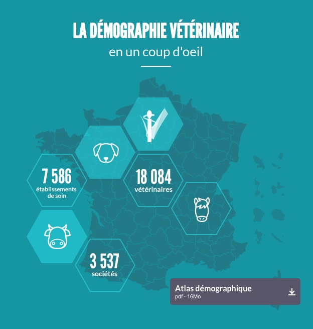 Vetfuturs France et la pratique 2.0 sont deux exemples des avancées de l'Ordre des vétérinaires destinées à « préparer et créer son avenir plutôt que de le subir »