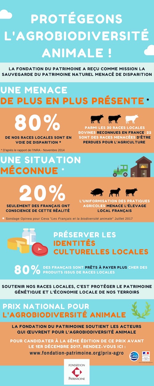 La vache froment du Léon, la vache bordelaise et l’âne des Pyrénées, sont les trois races domestiques primées lors du 6e Prix pour l’agro-biodiversité organisé par la Fondation du patrimoine et Ceva