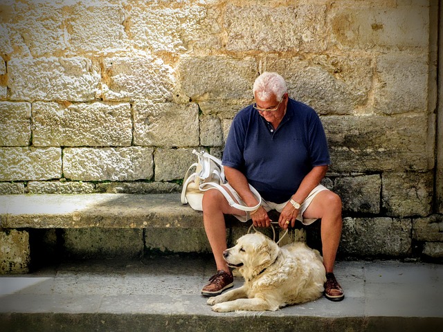 Vieillissement : l’animal aide les personnes âgées à affronter leurs problèmes de santé et à être plus actifs