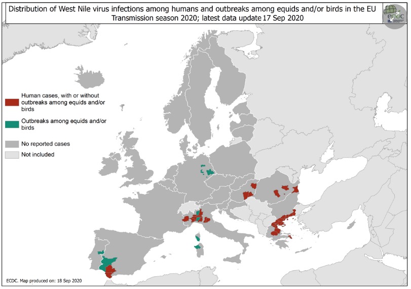 Cette année, la surveillance épidémiologique indique une circulation en Europe depuis juillet, avec une augmentation du nombre de cas équins ces dernières semaines