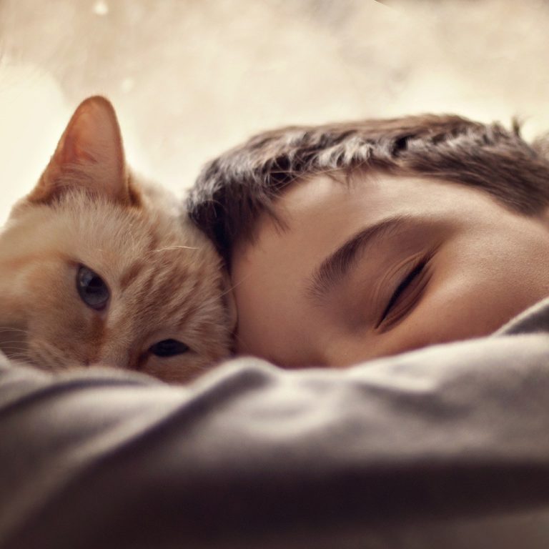 Comment concilier enfant allergique et animal de compagnie ?