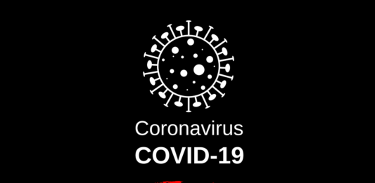 Avec plus de 9 millions de cas confirmés de Covid-19, le Brésil est l’un des pays les plus touchés par le nouveau coronavirus. Des chercheurs ont donc voulu évaluer l’impact de la pandémie chez l’animal de compagnie dans le pays. Une étude révèle que 31 % des chiens et 40 % des chats avec des propriétaires infectés par le Sars-CoV-2 sont également positifs à la Covid-19, bien que la moitié d’entre eux ne présentent pas de signes cliniques