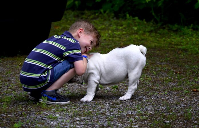 Autisme : avoir un animal domestique est bon pour les enfants et leur famille