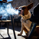 chien-cigarette-fume-1024×1024-80254215.png