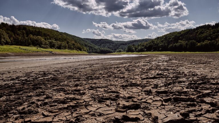 Une étude PNAS montre que la variabilité climatique interne peut avancer l’arrivée des conditions favorables aux épidémies vectorielles. Adapter la prévention.